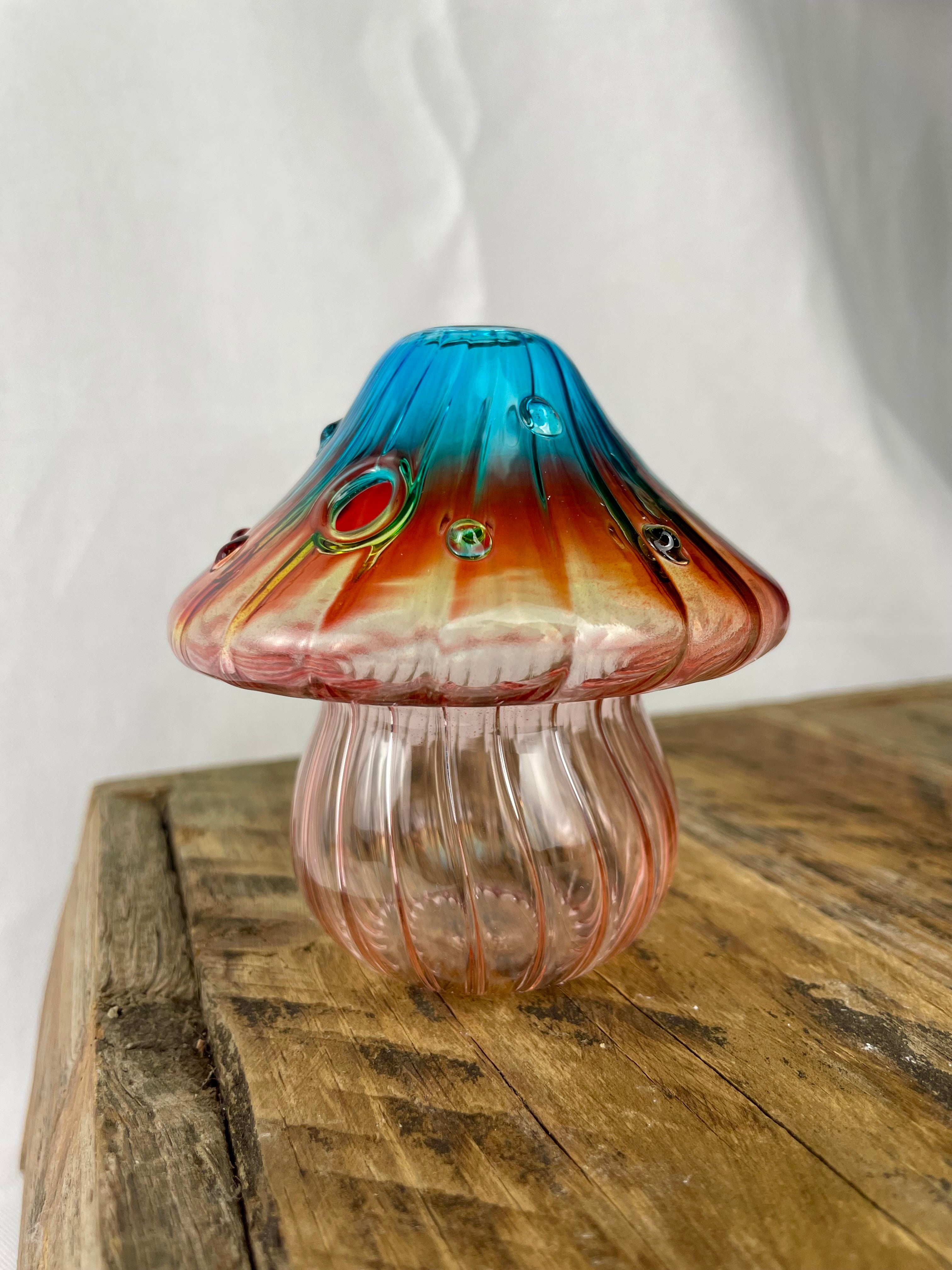 Colourful Glass Mushroom Propagation Vase