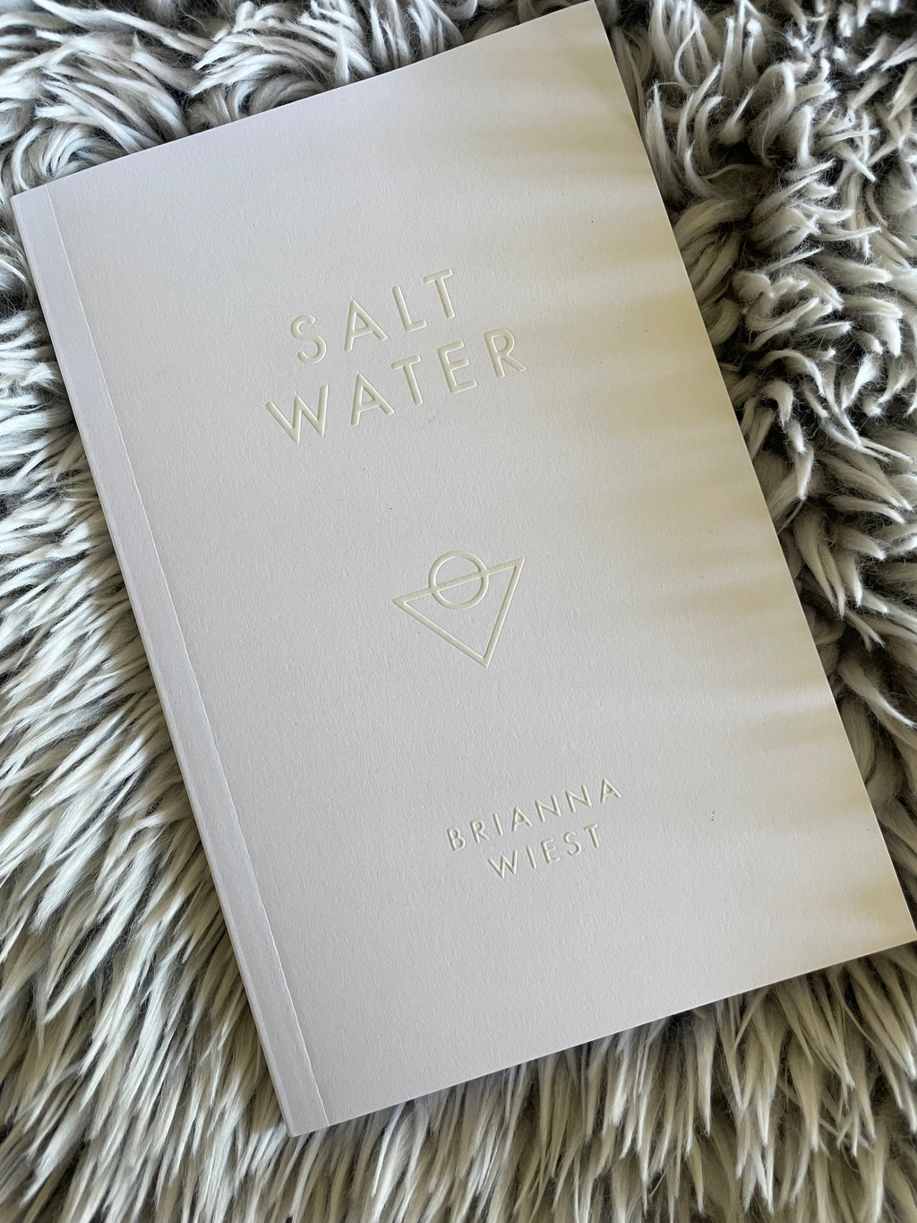 Salt Water by Brianna Wiest