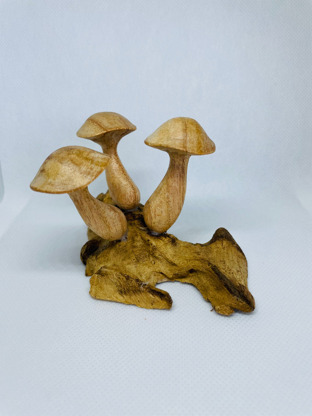 Mushroom Cluster on Driftwood