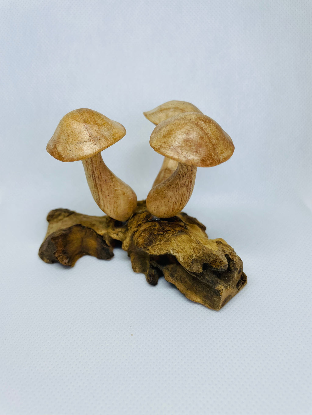Mushroom Cluster on Driftwood