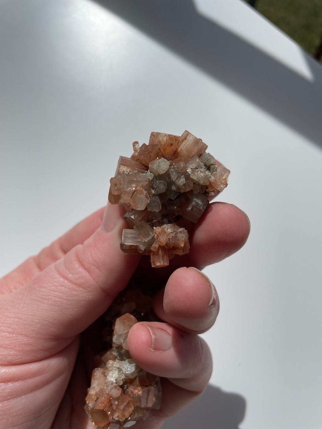 Aragonite Sputnik Cluster