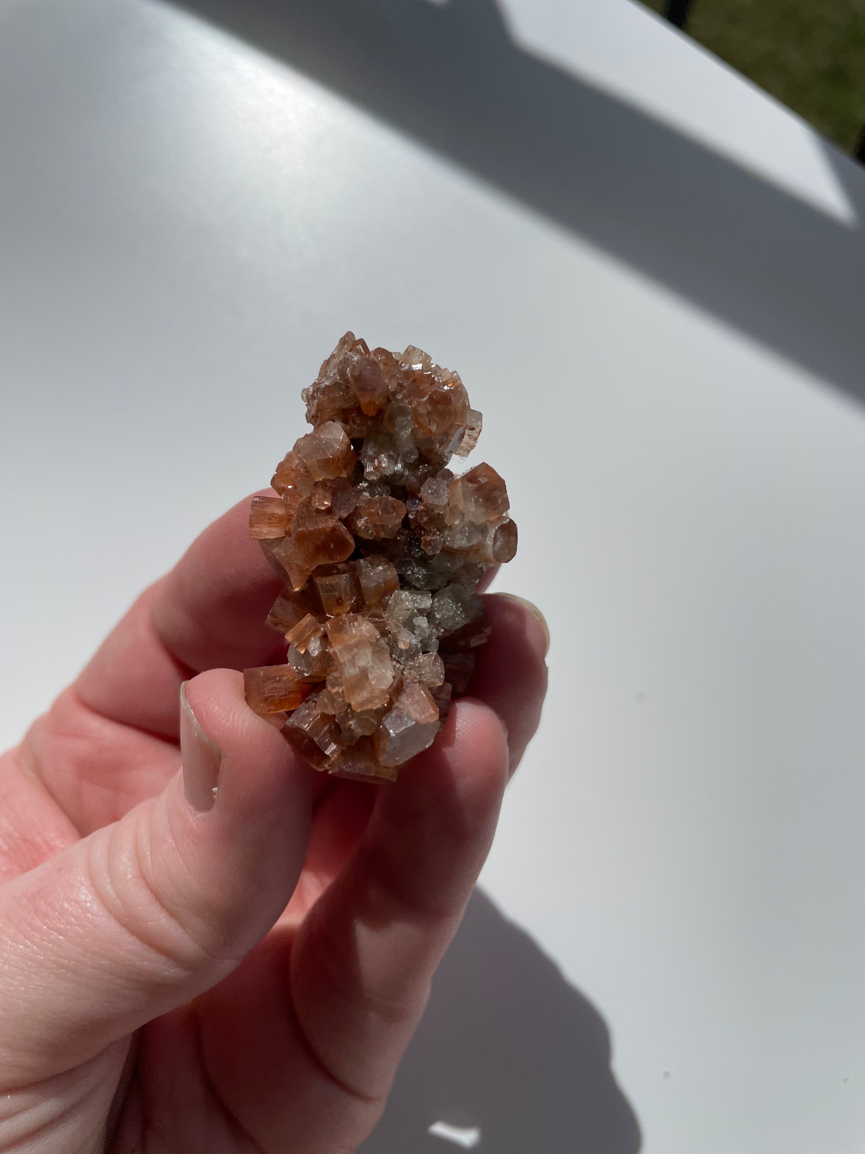 Aragonite Sputnik Cluster