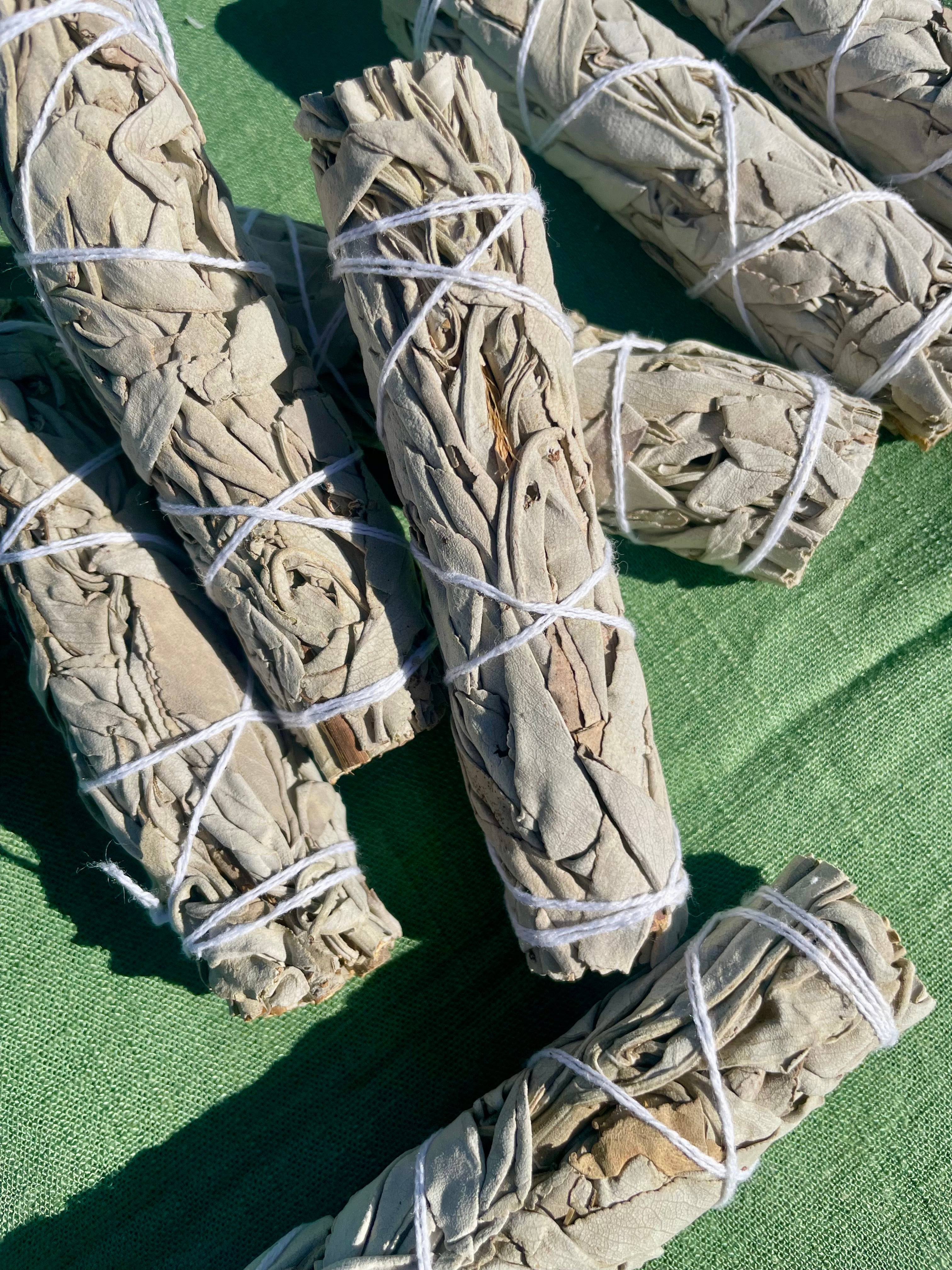 White Sage Smudge Stick || 10cm