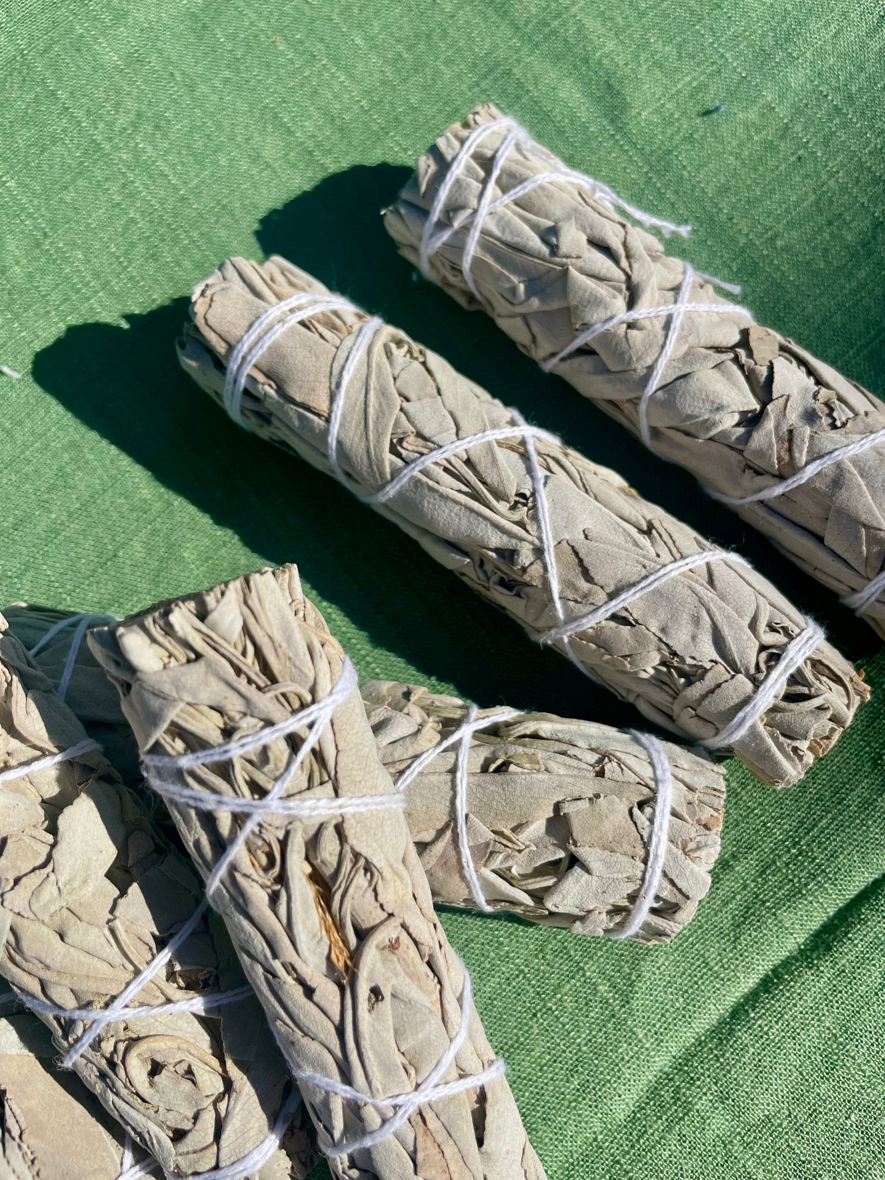 White Sage Smudge Stick || 10cm